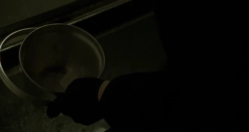 Still frame 146 from Carol (2015) directed by Todd Haynes
