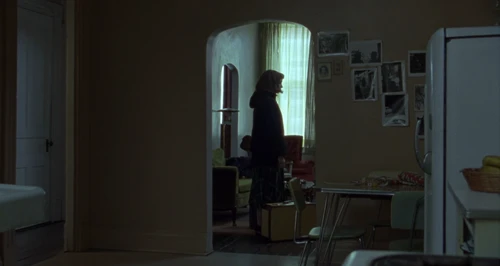 Still frame 196 from Carol (2015) directed by Todd Haynes