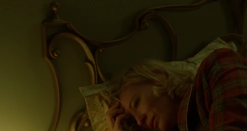 Still frame 202 from Carol (2015) directed by Todd Haynes