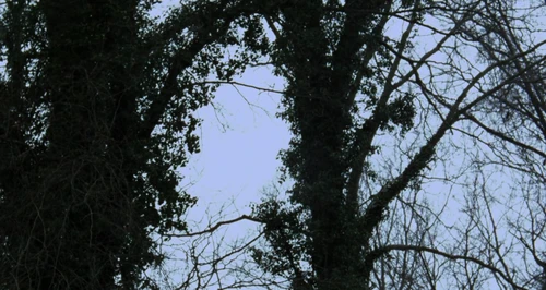 Still frame 213 from Carol (2015) directed by Todd Haynes