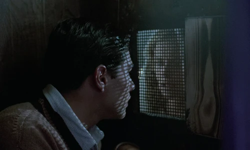 Still frame 150 from Cinema Paradiso (1988) directed by Giuseppe Tornatore