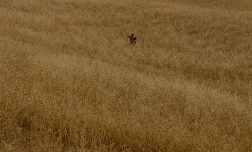 Still frame 168 from Cinema Paradiso (1988) directed by Giuseppe Tornatore