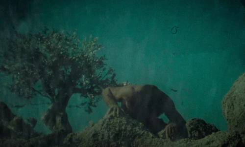 Still frame 184 from Cinema Paradiso (1988) directed by Giuseppe Tornatore