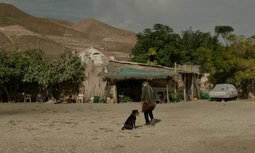 Still frame 73 from Close Your Eyes (2023) directed by Víctor Erice