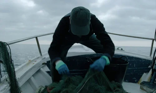 Still frame 81 from Close Your Eyes (2023) directed by Víctor Erice