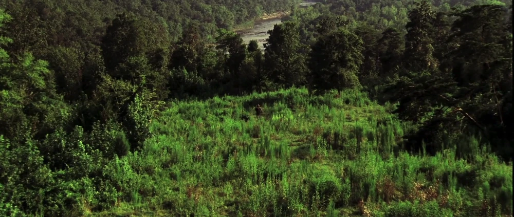 Still frame 73 from Cold Mountain (2003) directed by Anthony Minghella