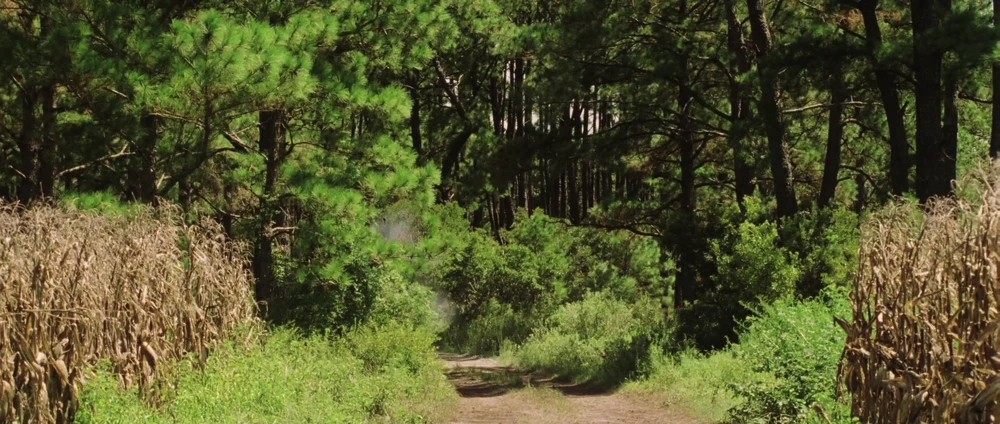 Still frame 85 from Cold Mountain (2003) directed by Anthony Minghella