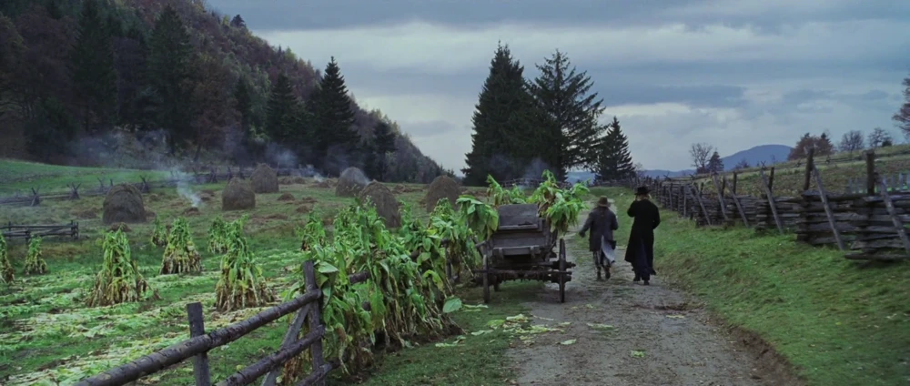 Still frame 109 from Cold Mountain (2003) directed by Anthony Minghella