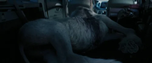 Still frame 14 from Death of a Unicorn (2025) directed by Alex Scharfman