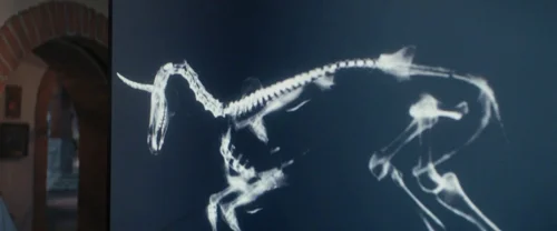 Still frame 31 from Death of a Unicorn (2025) directed by Alex Scharfman