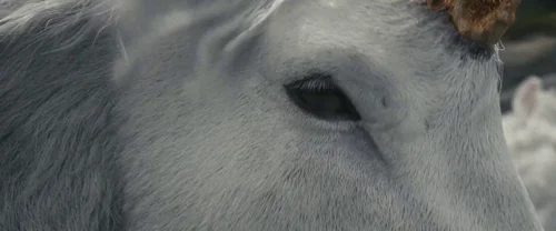 Still frame 95 from Death of a Unicorn (2025) directed by Alex Scharfman