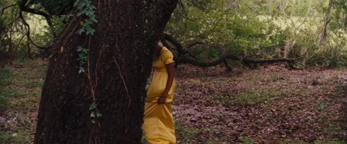 Still frame 89 from Django Unchained (2012) directed by Quentin Tarantino