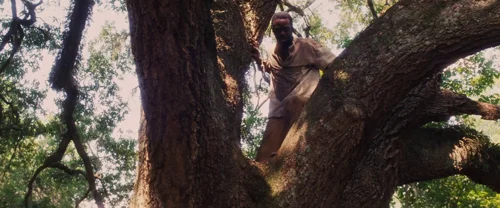 Still frame 96 from Django Unchained (2012) directed by Quentin Tarantino