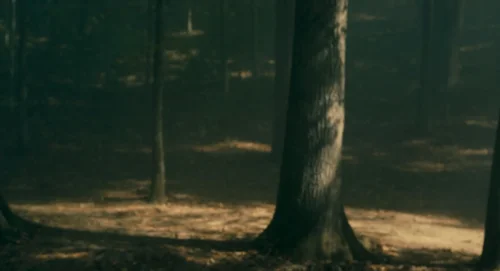 Still frame 122 from Doctor Sleep (2019) directed by Mike Flanagan