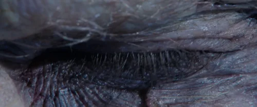 Still frame 85 from Doctor Strange in the Multiverse of Madness (2022) directed by Sam Raimi