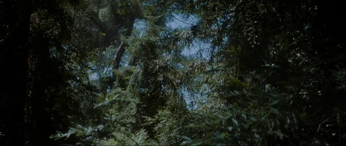 Still frame 139 from Donnie Darko (2001) directed by Richard Kelly
