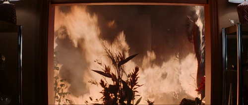 Still frame 207 from Donnie Darko (2001) directed by Richard Kelly