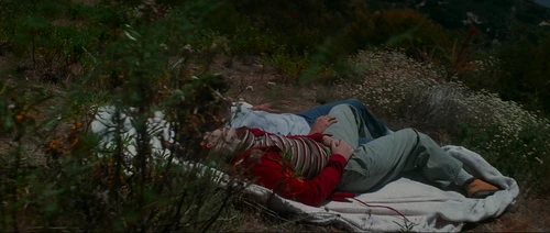 Still frame 210 from Donnie Darko (2001) directed by Richard Kelly
