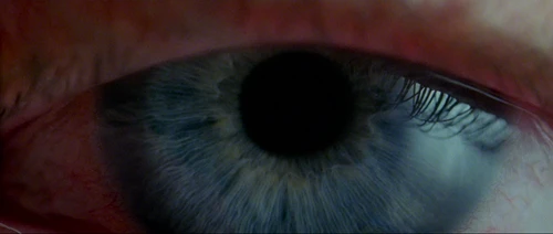 Still frame 23 from Donnie Darko (2001) directed by Richard Kelly