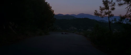 Still frame 1 from Donnie Darko (2001) directed by Richard Kelly