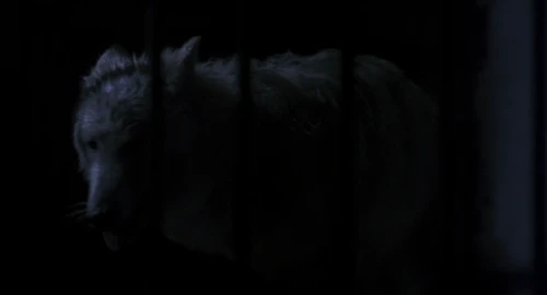 Still frame 105 from Dracula (1992) directed by Francis Ford Coppola