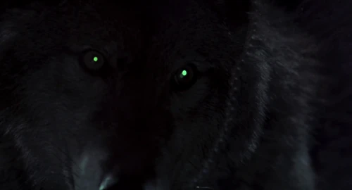Still frame 133 from Dracula (1992) directed by Francis Ford Coppola