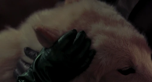 Still frame 141 from Dracula (1992) directed by Francis Ford Coppola
