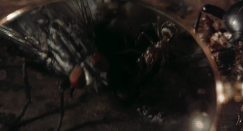 Still frame 72 from Dracula (1992) directed by Francis Ford Coppola