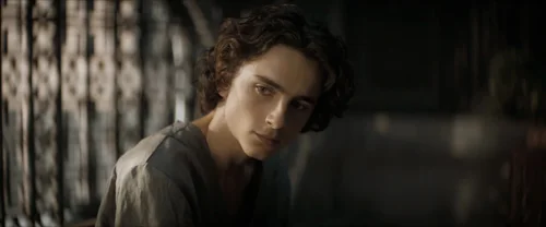 Still frame 8 from Dune: Part One (2021) directed by Denis Villeneuve
