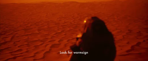 Still frame 12 from Dune: Part Two (2024) directed by Denis Villeneuve