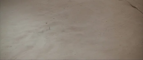 Still frame 197 from Dune: Part Two (2024) directed by Denis Villeneuve