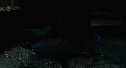 Still frame 189 from Eddington (2025) directed by Ari Aster