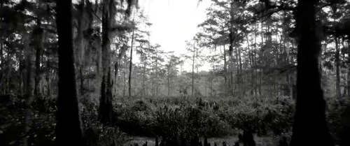 Still frame 3 from Emancipation (2022) directed by Antoine Fuqua