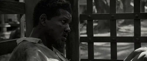 Emancipation (2022) - Cinematography