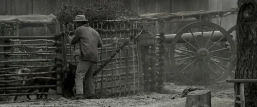 Still frame 31 from Emancipation (2022) directed by Antoine Fuqua