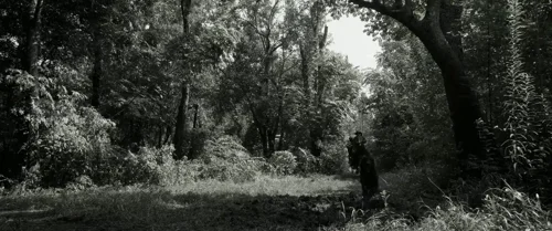 Still frame 39 from Emancipation (2022) directed by Antoine Fuqua