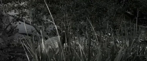 Still frame 42 from Emancipation (2022) directed by Antoine Fuqua