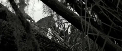 Still frame 44 from Emancipation (2022) directed by Antoine Fuqua