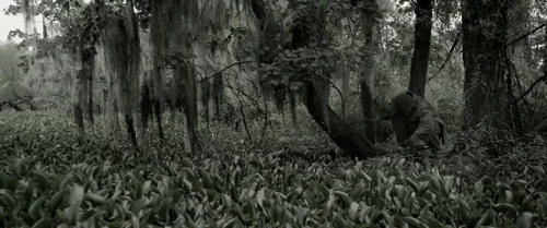 Still frame 56 from Emancipation (2022) directed by Antoine Fuqua