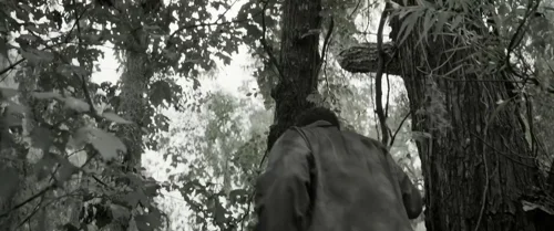 Still frame 55 from Emancipation (2022) directed by Antoine Fuqua