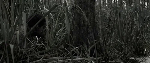 Still frame 58 from Emancipation (2022) directed by Antoine Fuqua