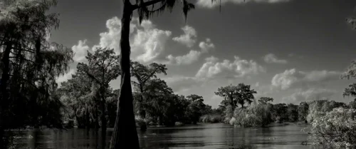 Still frame 61 from Emancipation (2022) directed by Antoine Fuqua