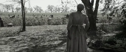 Still frame 64 from Emancipation (2022) directed by Antoine Fuqua