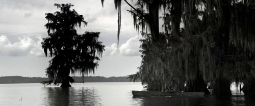 Still frame 69 from Emancipation (2022) directed by Antoine Fuqua