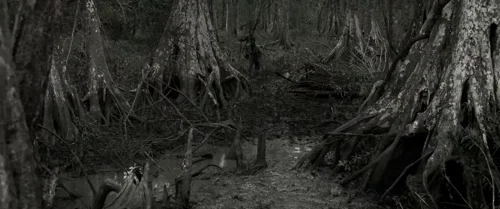 Still frame 70 from Emancipation (2022) directed by Antoine Fuqua