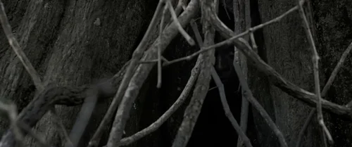 Still frame 72 from Emancipation (2022) directed by Antoine Fuqua