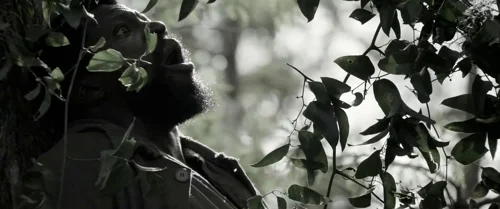 Still frame 74 from Emancipation (2022) directed by Antoine Fuqua