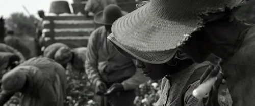 Still frame 75 from Emancipation (2022) directed by Antoine Fuqua