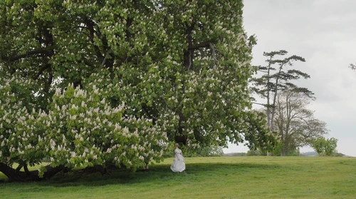 Still frame 280 from Emma. (2020) directed by Autumn de Wilde