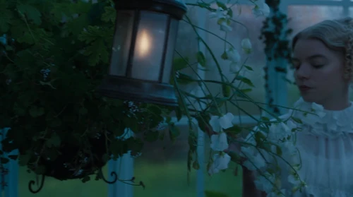 Still frame 2 from Emma. (2020) directed by Autumn de Wilde